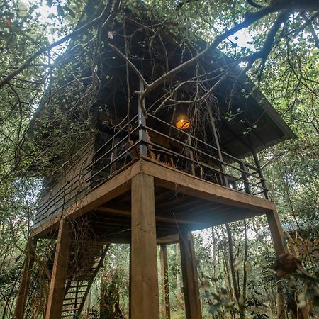 Inn On The Tree Eco Resort Sigiriya Kibissa Exterior photo