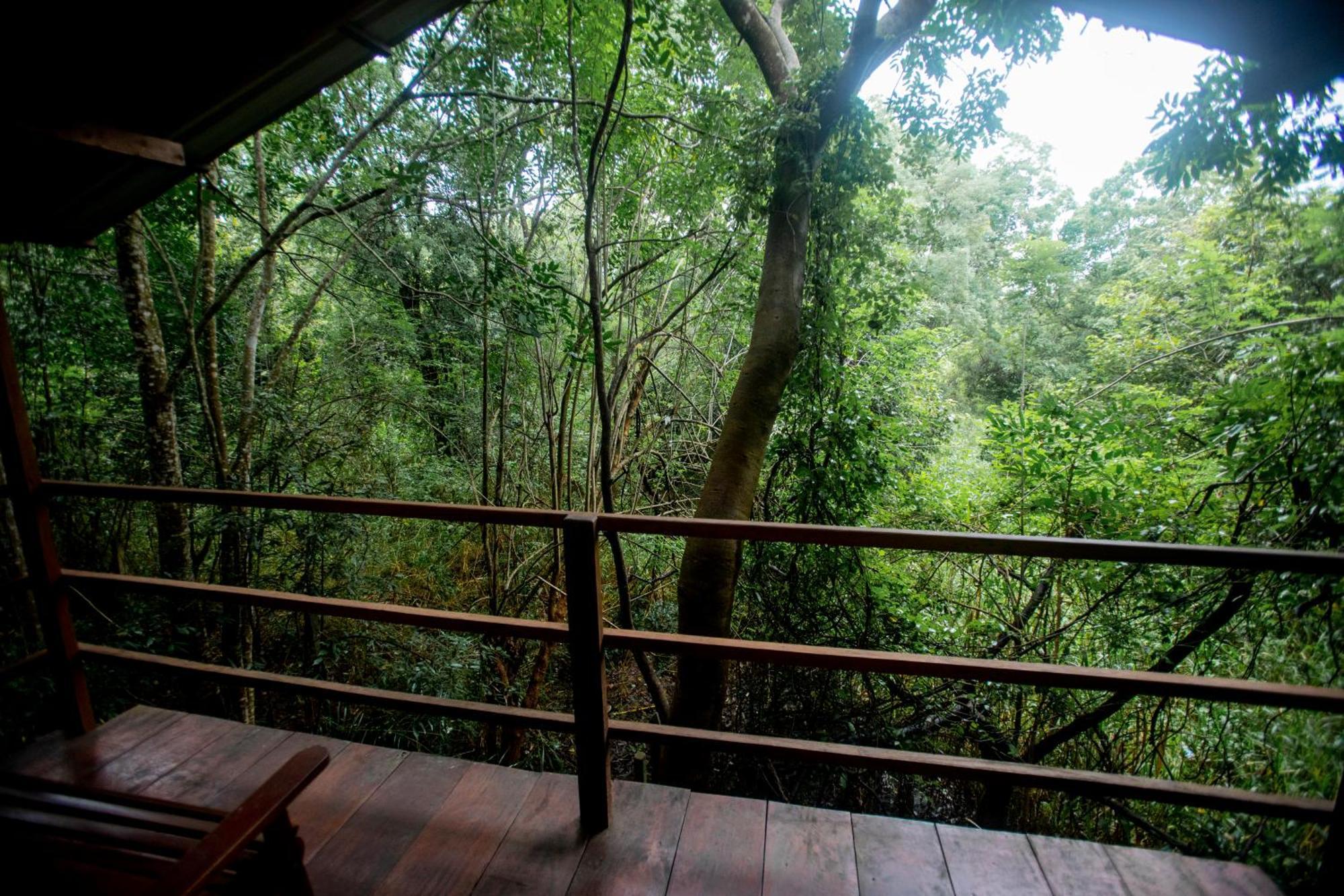 Inn On The Tree Eco Resort Sigiriya Kibissa Exterior photo