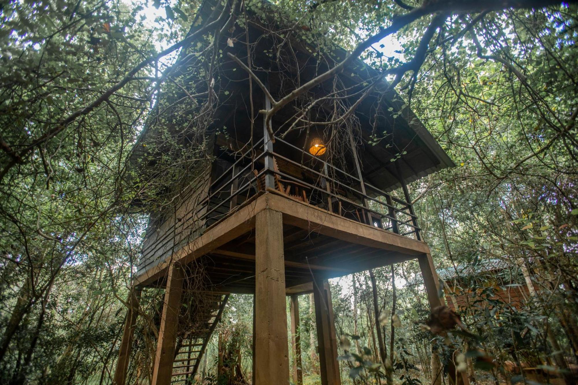 Inn On The Tree Eco Resort Sigiriya Kibissa Exterior photo