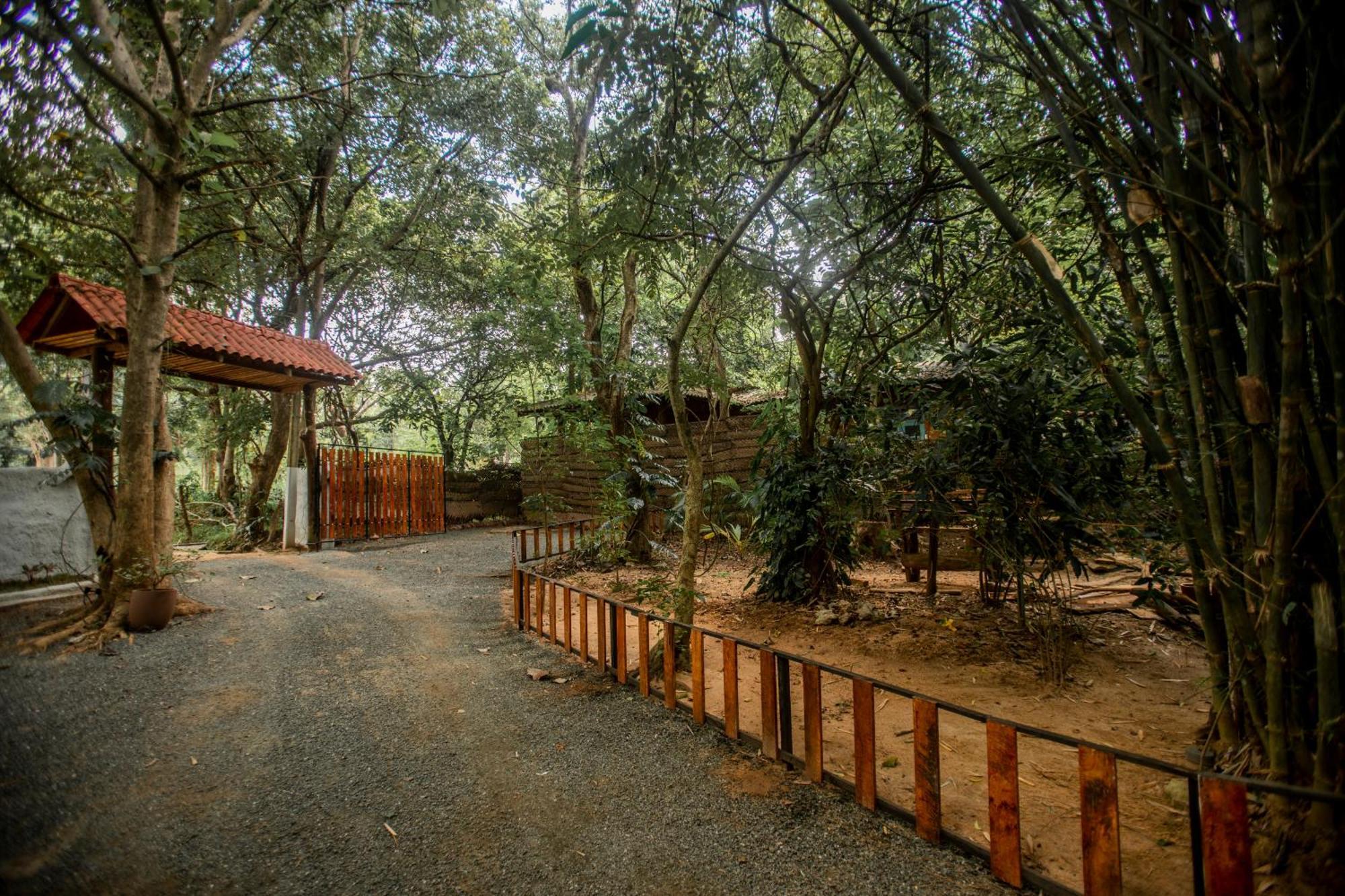 Inn On The Tree Eco Resort Sigiriya Kibissa Exterior photo