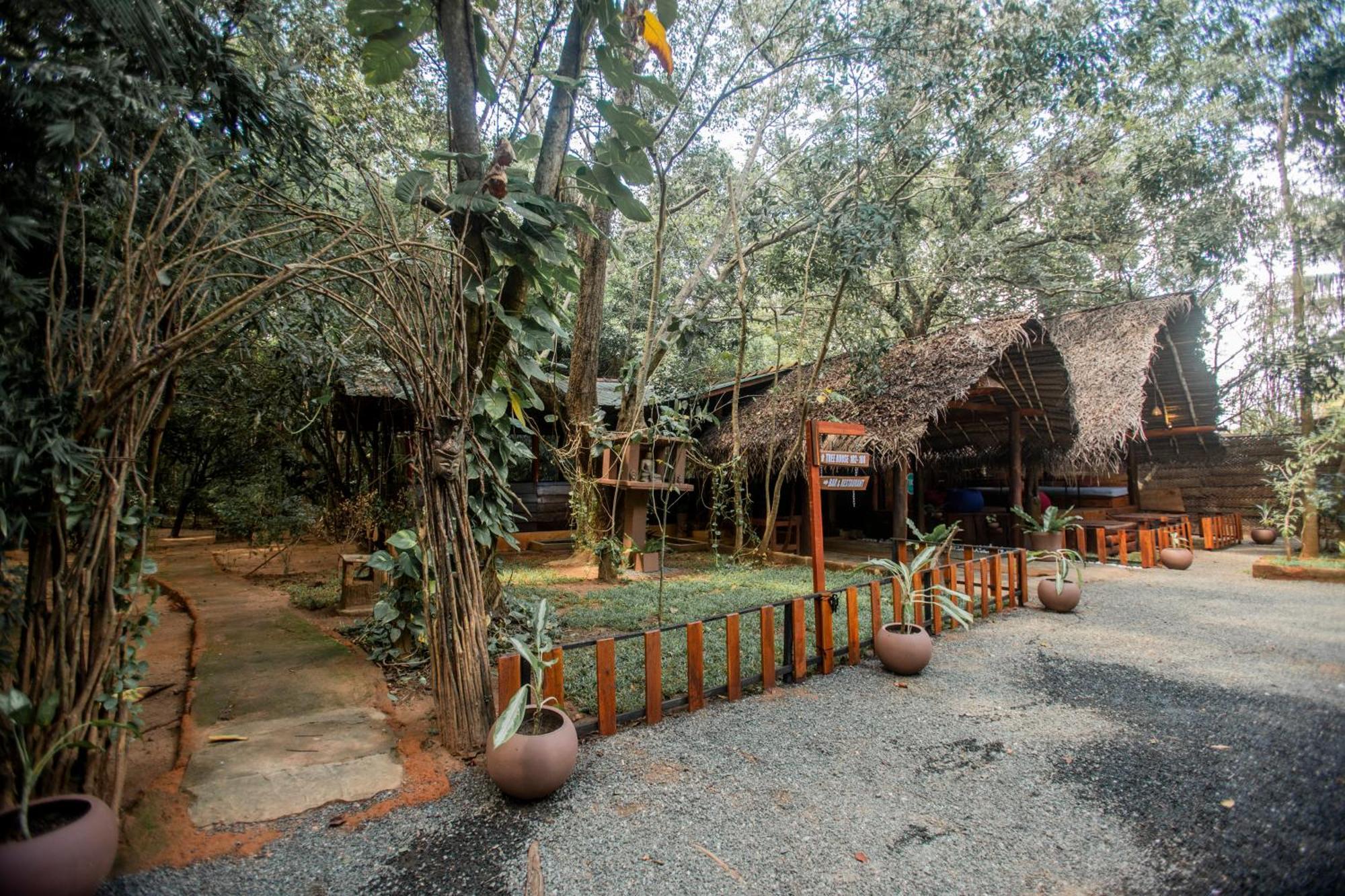 Inn On The Tree Eco Resort Sigiriya Kibissa Exterior photo