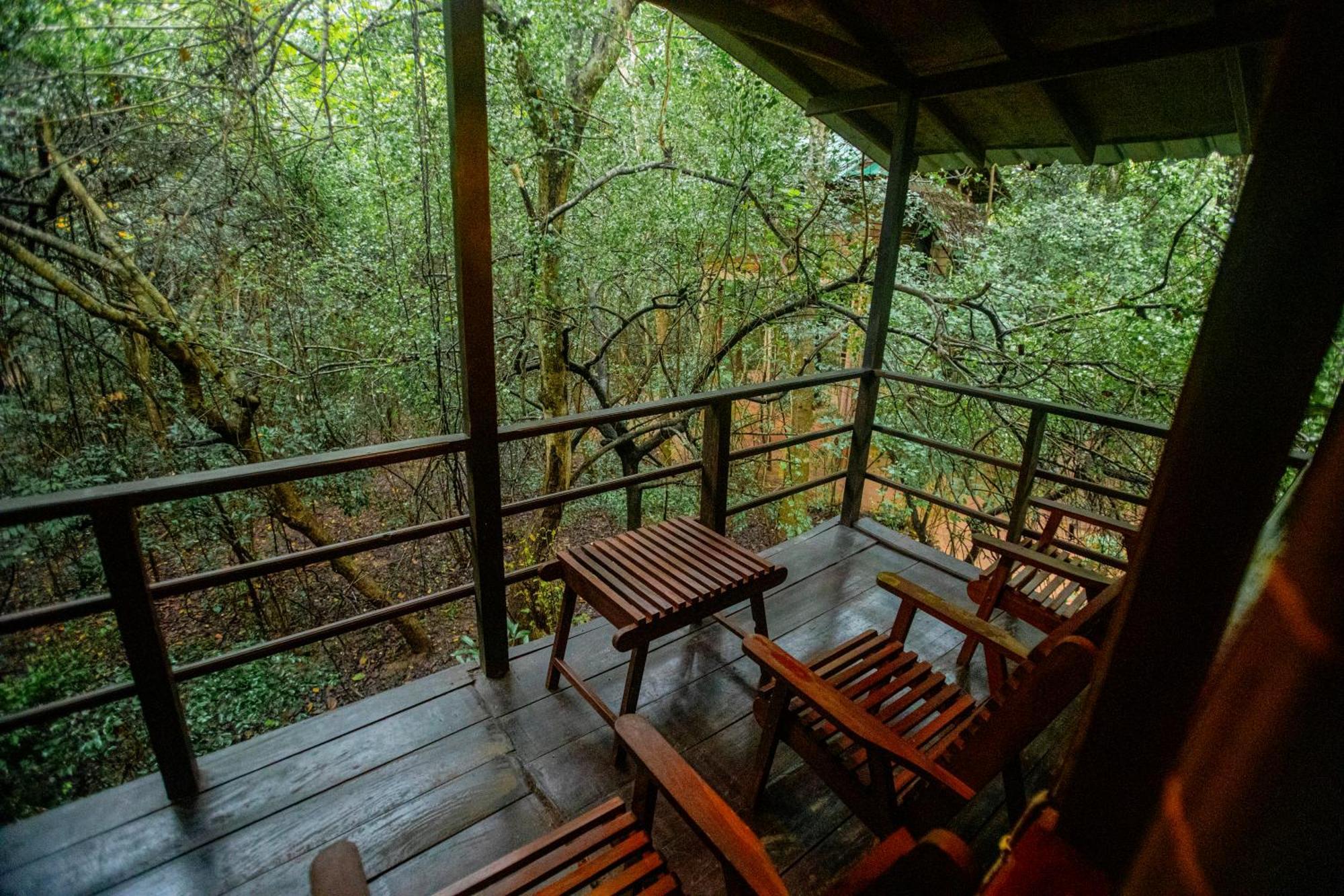 Inn On The Tree Eco Resort Sigiriya Kibissa Exterior photo